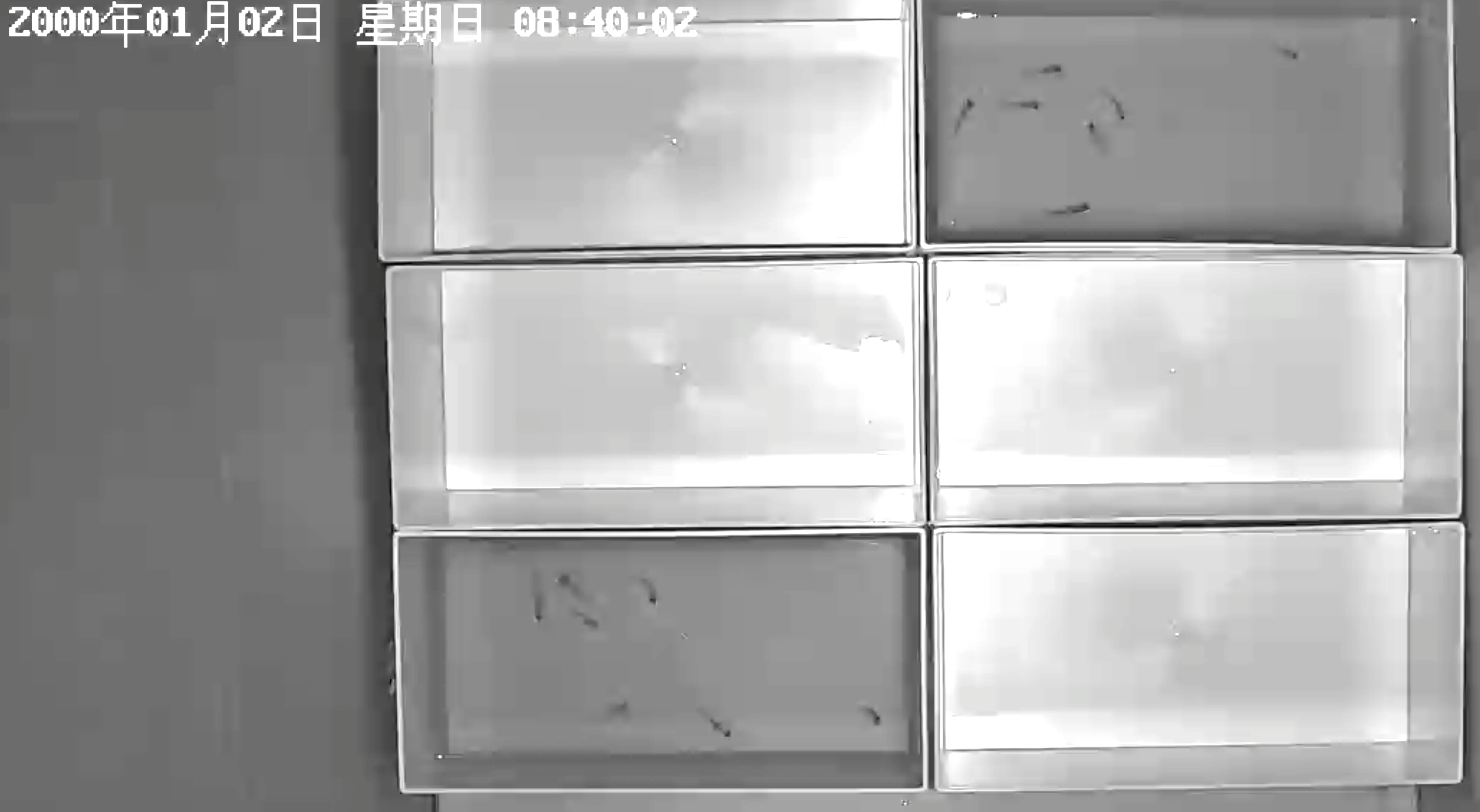 任务图片